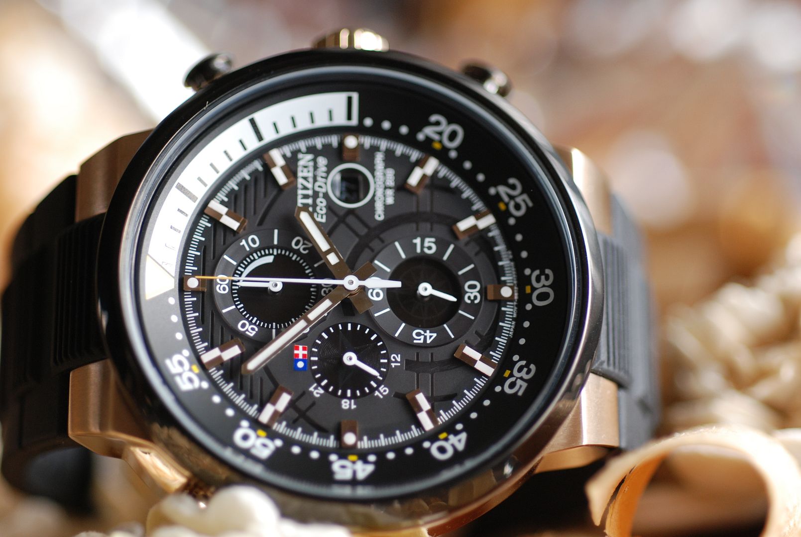 citizen endeavor watch